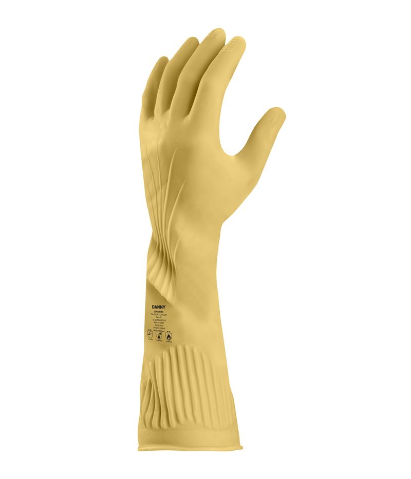 Dorso-DA-2020-longatex-3